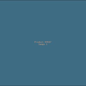 Example Product 9597