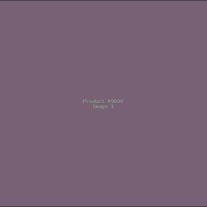 Example Product 9600