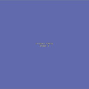 Example Product 9623