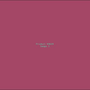 Example Product 9629