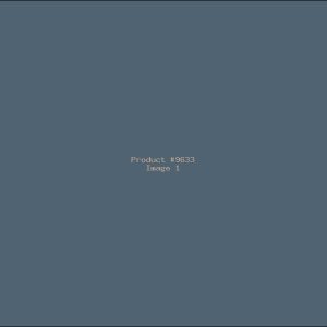 Example Product 9633