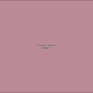 Example Product 9638