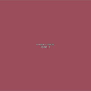 Example Product 9639