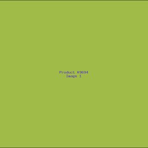 Example Product 9694