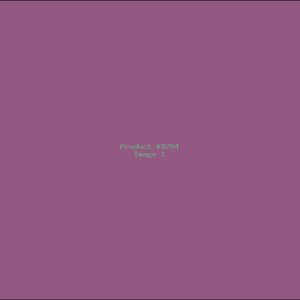 Example Product 9704