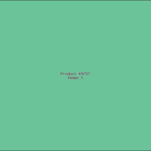 Example Product 9727