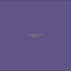 Example Product 9779