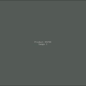 Example Product 9788