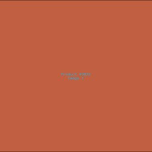 Example Product 9832