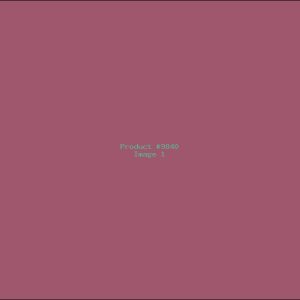 Example Product 9840