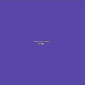 Example Product 9847