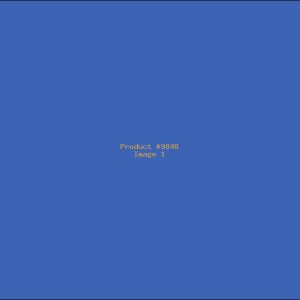 Example Product 9848