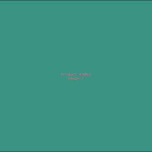 Example Product 9858