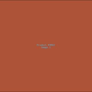 Example Product 9861