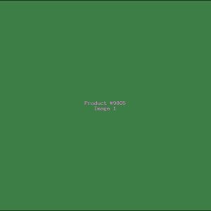 Example Product 9865