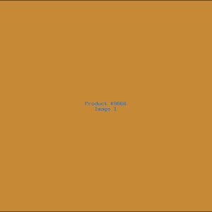 Example Product 9866