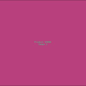 Example Product 9886