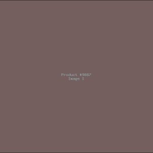 Example Product 9887