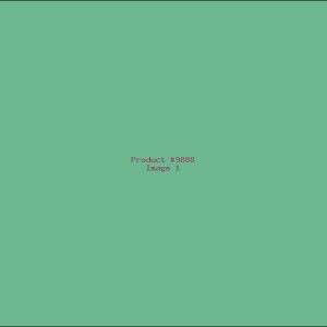 Example Product 9888