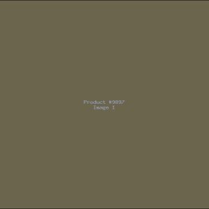 Example Product 9897