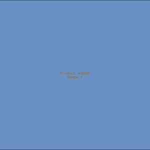 Example Product 9899