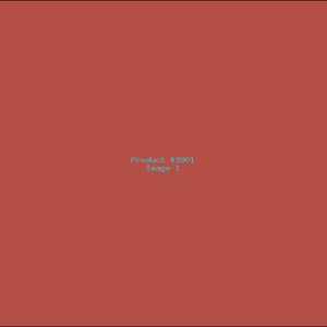 Example Product 9901