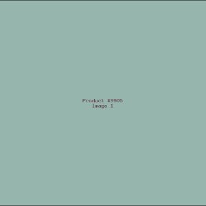 Example Product 9905