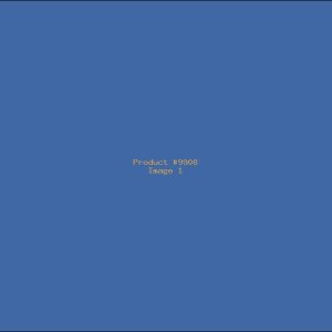 Example Product 9908