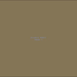 Example Product 9911