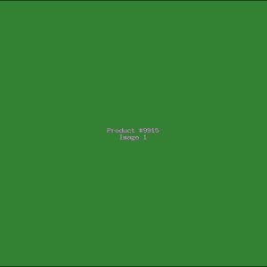 Example Product 9915