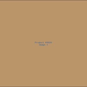 Example Product 9920