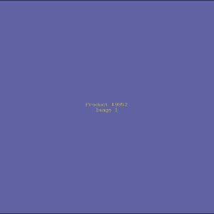 Example Product 9952