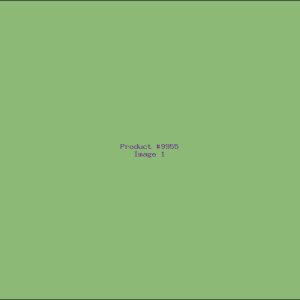 Example Product 9955