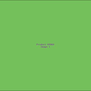 Example Product 9960