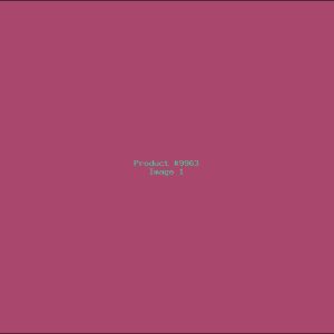 Example Product 9963