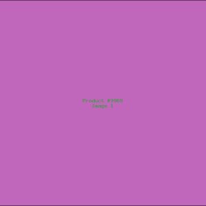 Example Product 9969