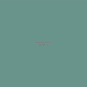 Example Product 9976