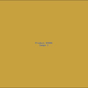 Example Product 9986