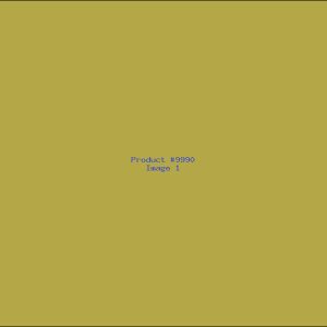 Example Product 9990