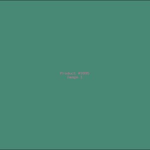 Example Product 9995